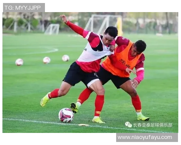 北京网球队防反战术解析与实战应用探讨